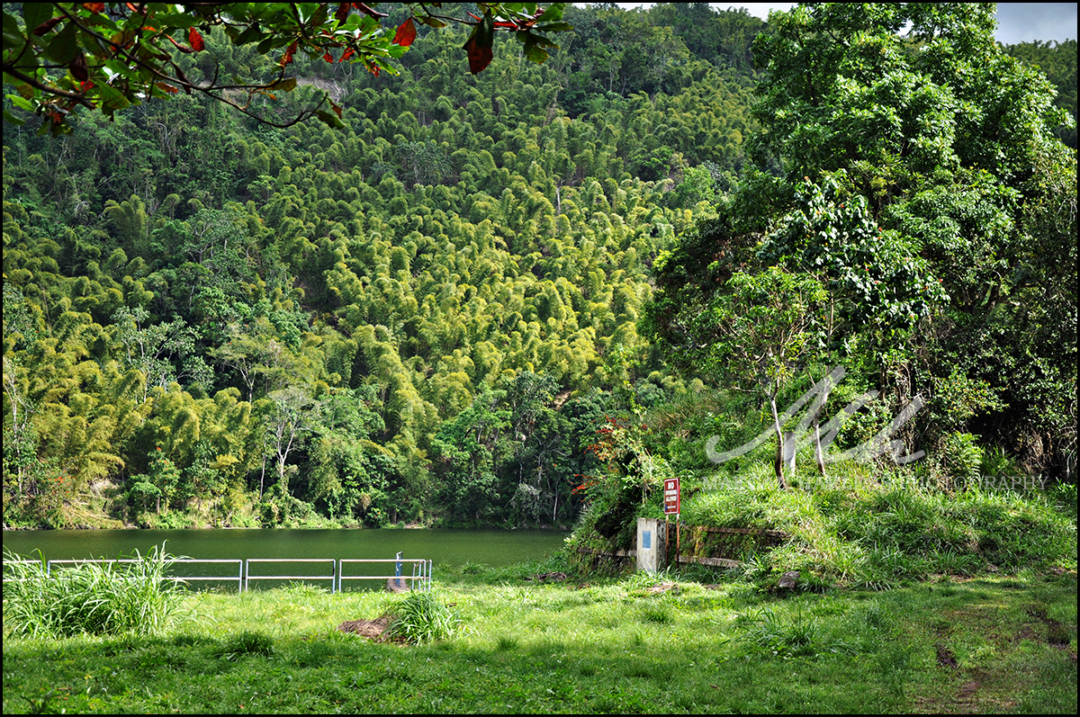 Hermitage Dam Landscape Photoshoot