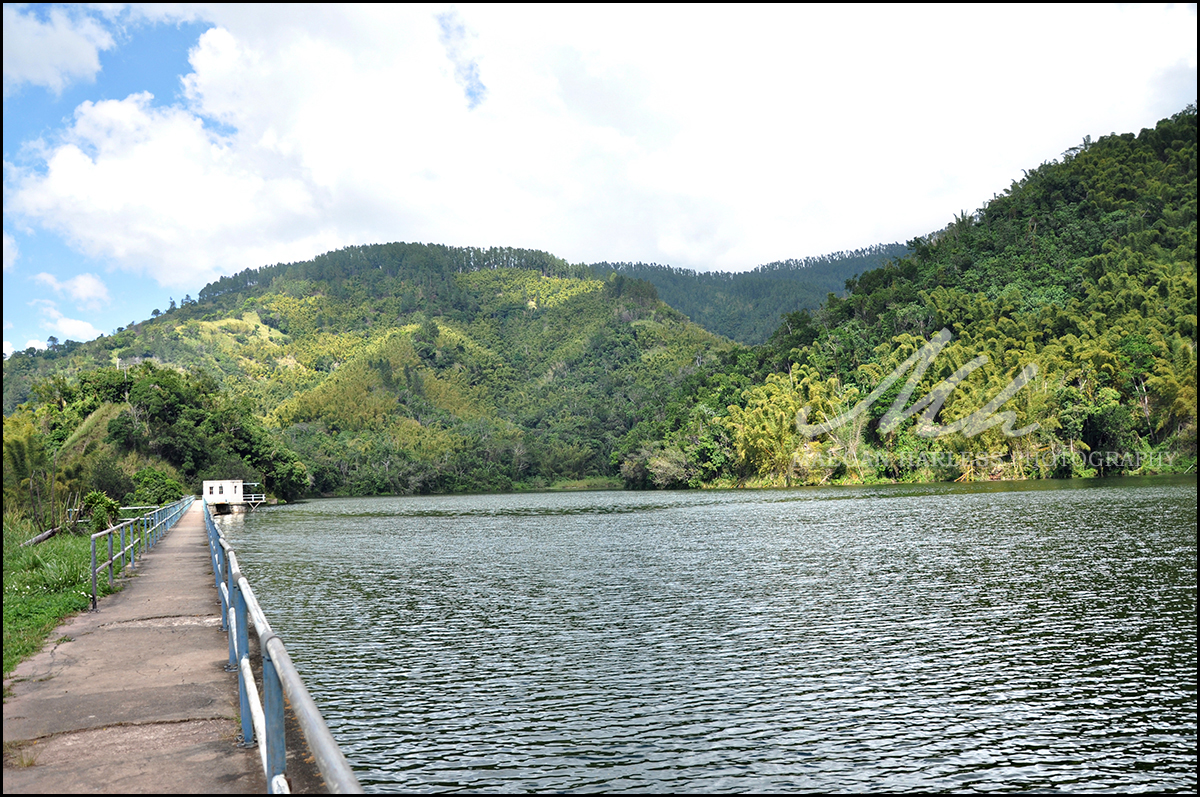 Hermitage Dam Landscape Photoshoot