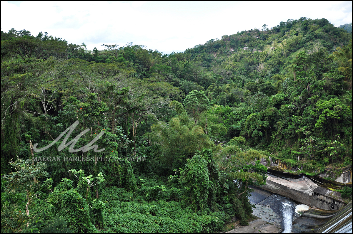 Hermitage Dam Landscape Photoshoot