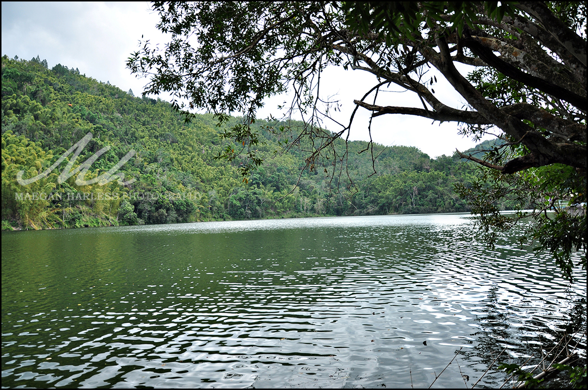 Hermitage Dam Landscape Photoshoot
