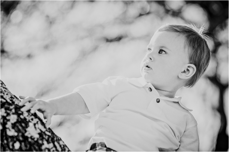 Toddler Photography in Austin Texas Natural Light Photography