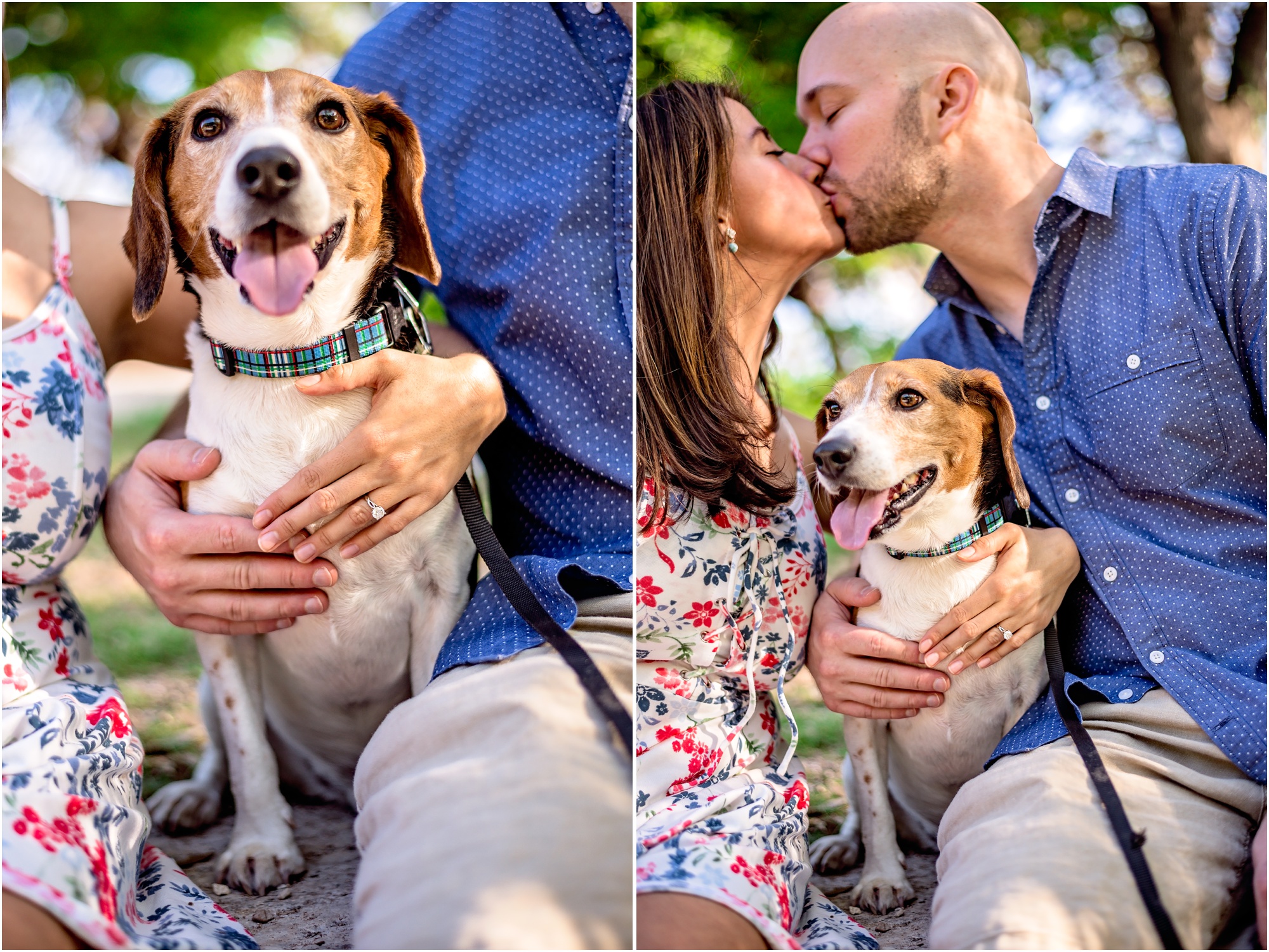 Couple Engaged with Beagle