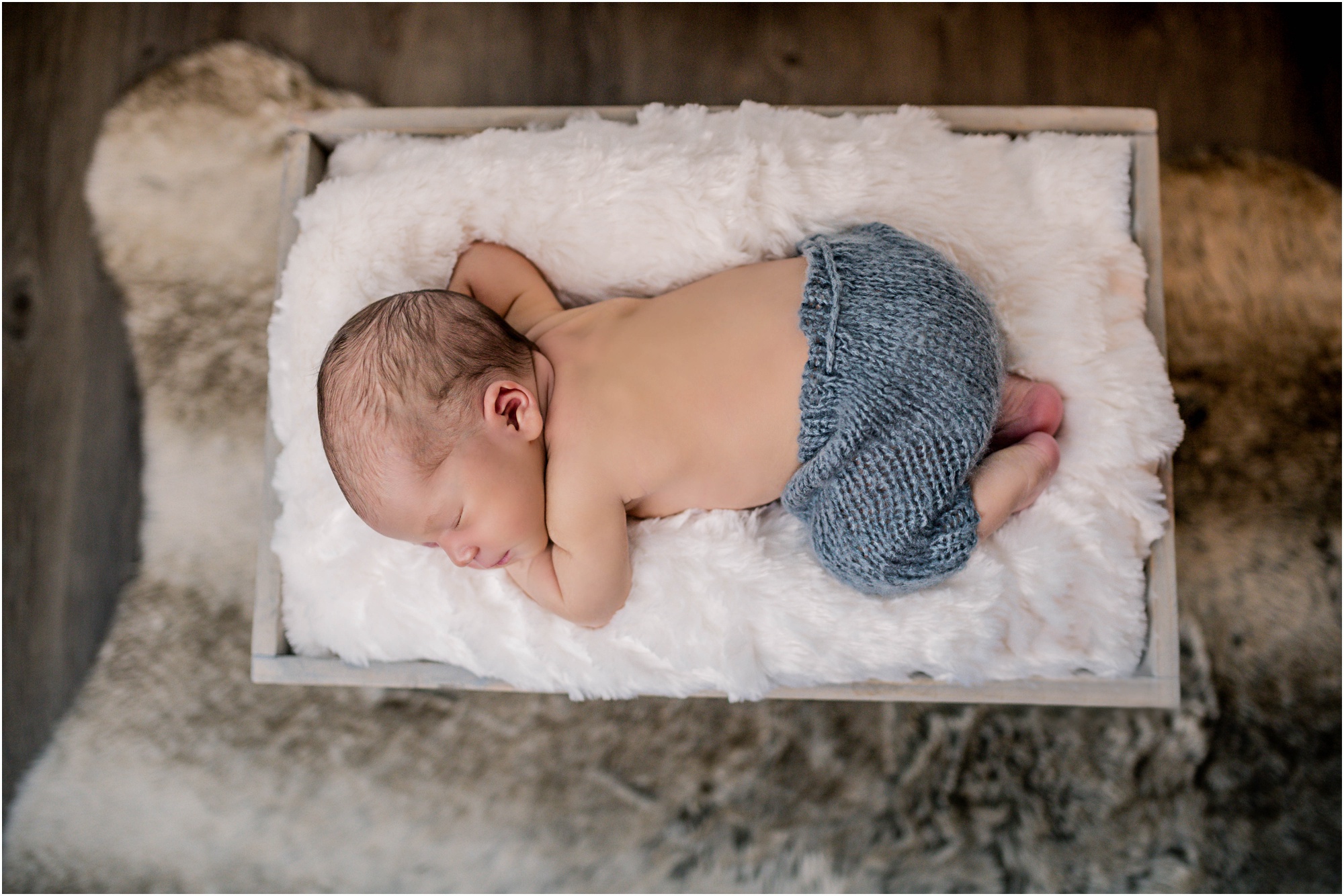 Indoor Newborn Portrait Photoshoot in Austin Texas by natural light baby photographer