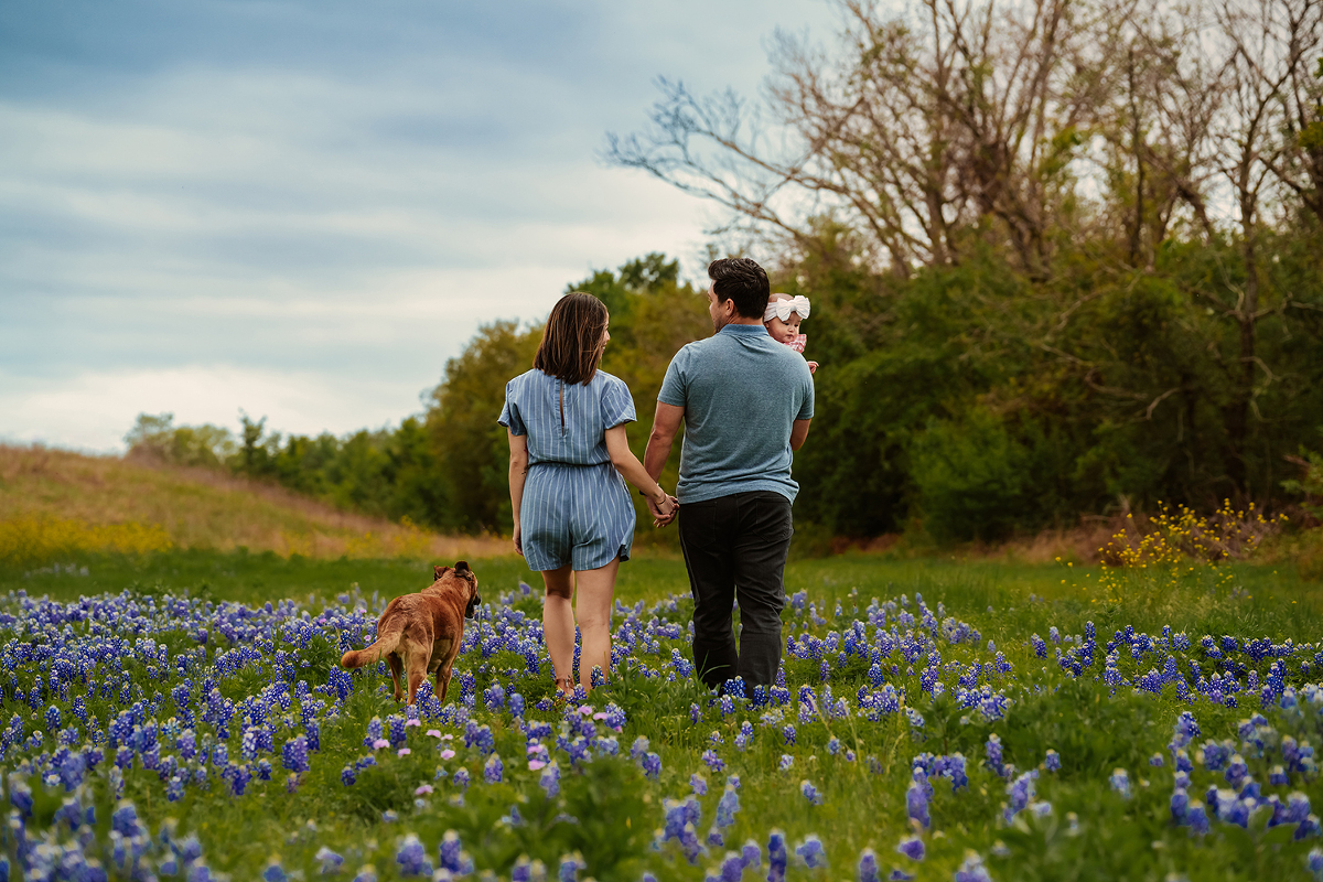 Bluebonnet Mini Photoshoot by natural light North Austin Georgetown Family Photographer
